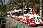 IMG_2645.JPG