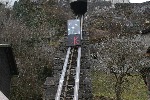 IMG_2210.JPG