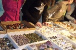 DSCF3838.JPG