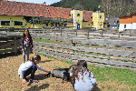 Állatsimogató 3.jpg