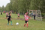11219141_1599724373630421_1051719648886330854_n.jpg
