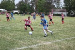 11261639_1599722950297230_2609461023588773135_n.jpg