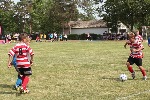 11351312_1599723060297219_5919075170057976364_n.jpg