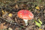 P1310807.JPG