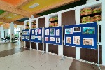 IMG_20210519_120630.jpg