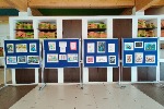 IMG_20210519_120619.jpg