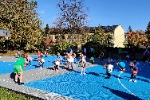 IMG_20221025_101018.jpg