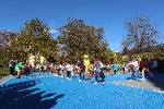 IMG_2860.JPG