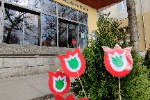 IMG_20230314_084522.jpg