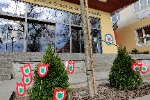 IMG_20230314_084512.jpg