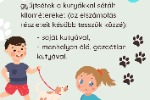 tesetaltasd.png