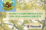 Gombatúra szakértőkkel (6-8 km) 2024.10.19. (szombat) 9.00-13.00.png