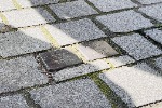 IMG_4106.jpg